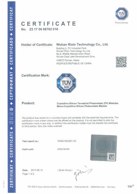 China Wuhan Rixin Technology Co., Ltd. certificaciones